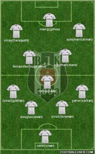 Besiktas JK Formation 2013