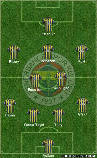 Fenerbahçe SK Formation 2013