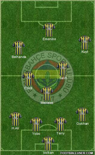 Fenerbahçe SK Formation 2013