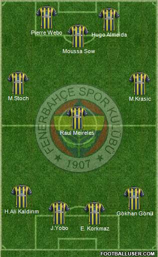 Fenerbahçe SK Formation 2013