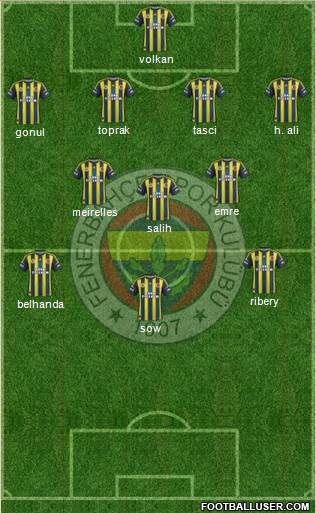 Fenerbahçe SK Formation 2013