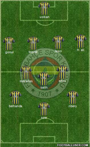 Fenerbahçe SK Formation 2013
