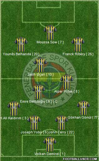 Fenerbahçe SK Formation 2013