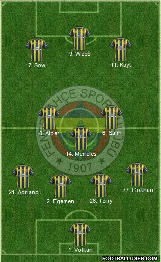 Fenerbahçe SK Formation 2013
