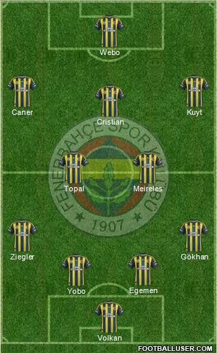 Fenerbahçe SK Formation 2013