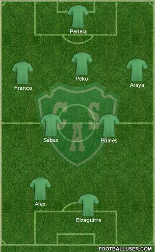 Sarmiento de Junín Formation 2013