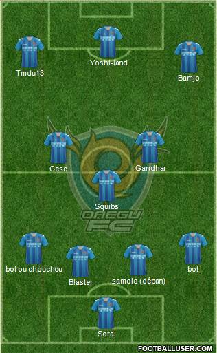 Daegu FC Formation 2013