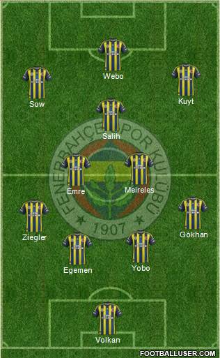 Fenerbahçe SK Formation 2013