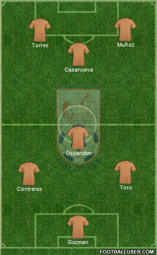 CD Melipilla Formation 2013