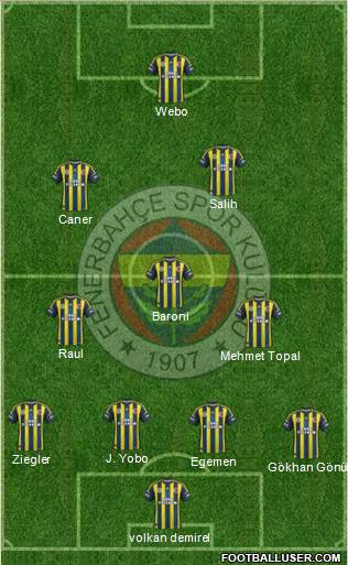 Fenerbahçe SK Formation 2013