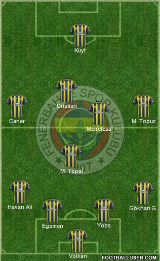 Fenerbahçe SK Formation 2013