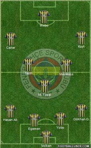 Fenerbahçe SK Formation 2013