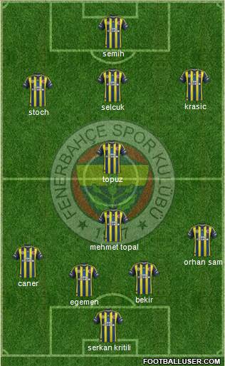 Fenerbahçe SK Formation 2013