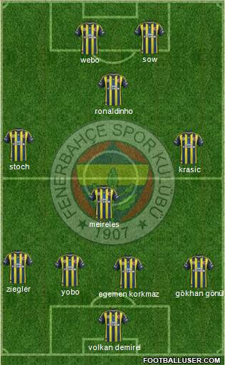 Fenerbahçe SK Formation 2013