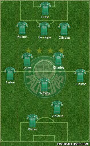 SE Palmeiras Formation 2013