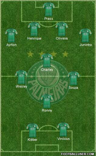 SE Palmeiras Formation 2013