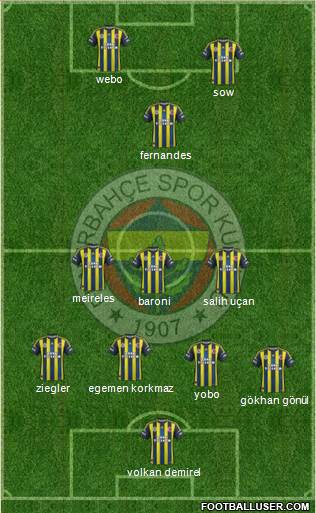 Fenerbahçe SK Formation 2013