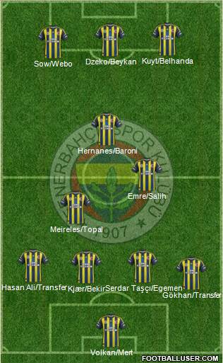 Fenerbahçe SK Formation 2013