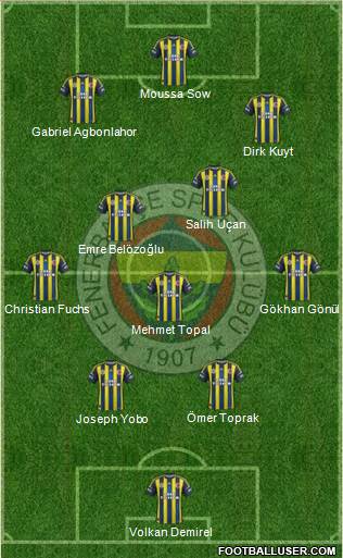 Fenerbahçe SK Formation 2013