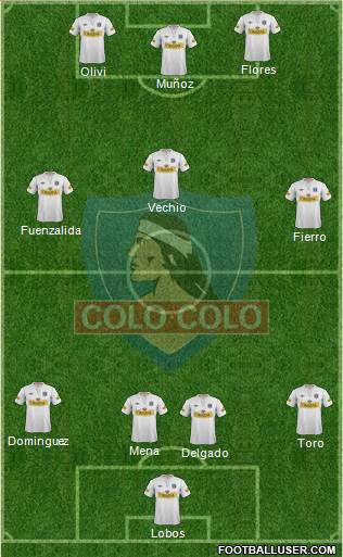 CSD Colo Colo Formation 2013