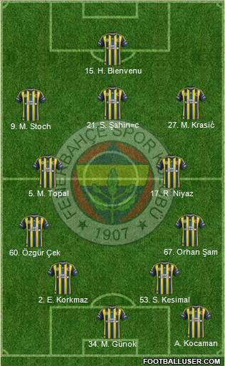Fenerbahçe SK Formation 2013
