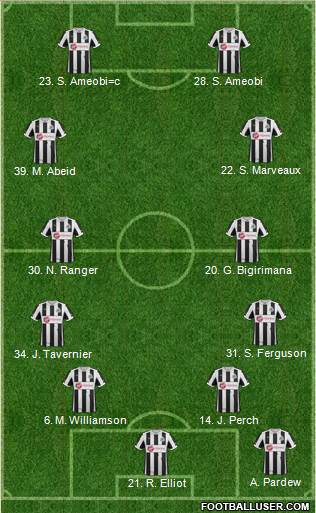 Newcastle United Formation 2013