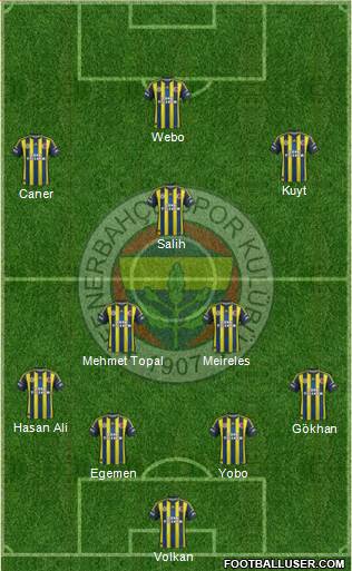Fenerbahçe SK Formation 2013