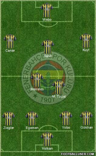 Fenerbahçe SK Formation 2013