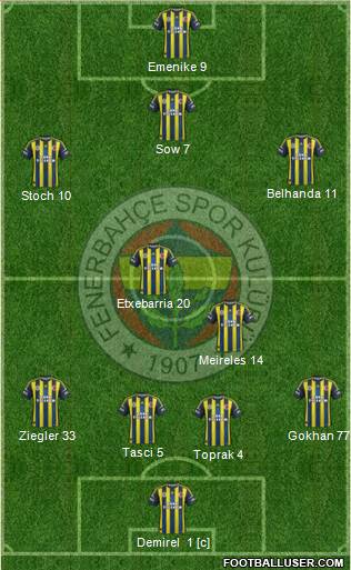 Fenerbahçe SK Formation 2013