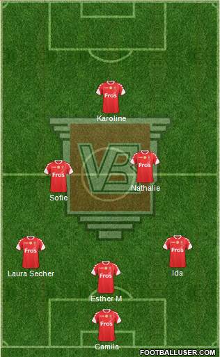 Vejle Boldklub Formation 2013