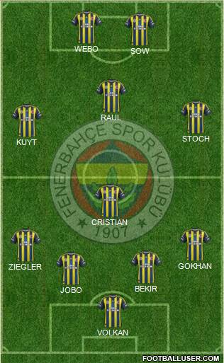 Fenerbahçe SK Formation 2013