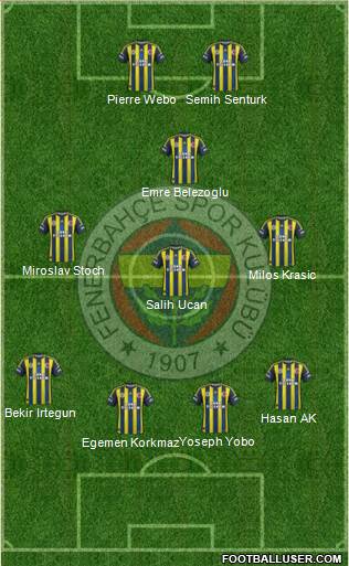 Fenerbahçe SK Formation 2013