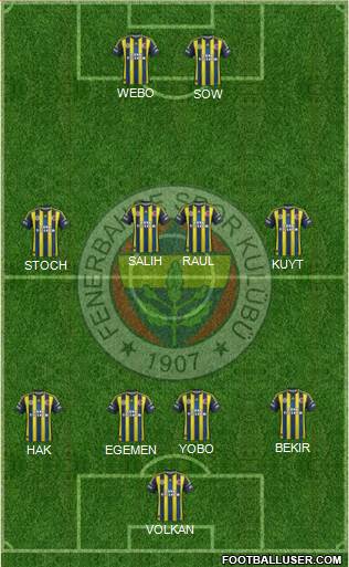 Fenerbahçe SK Formation 2013