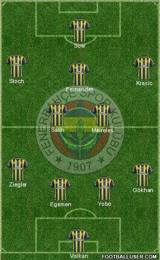 Fenerbahçe SK Formation 2013