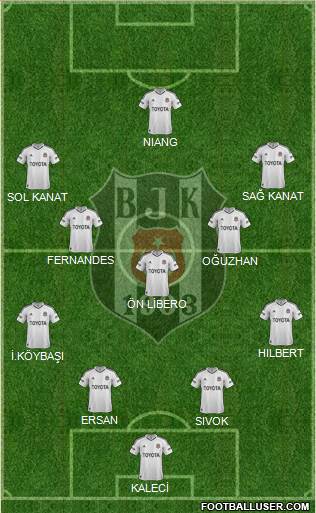 Besiktas JK Formation 2013