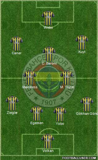 Fenerbahçe SK Formation 2013
