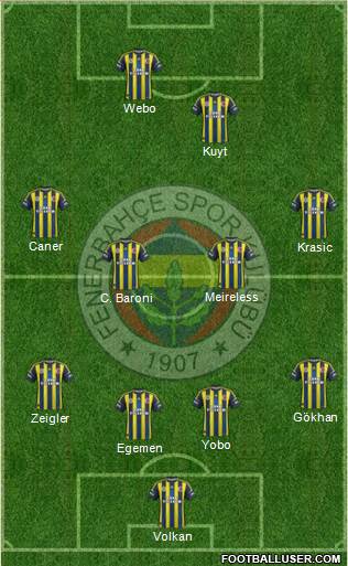 Fenerbahçe SK Formation 2013