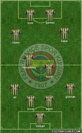 Fenerbahçe SK Formation 2013