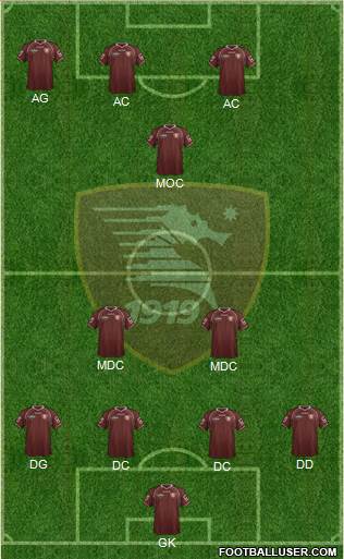 Salernitana Formation 2013