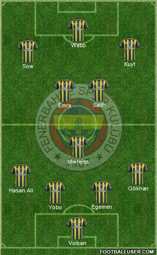 Fenerbahçe SK Formation 2013