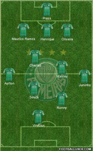 SE Palmeiras Formation 2013