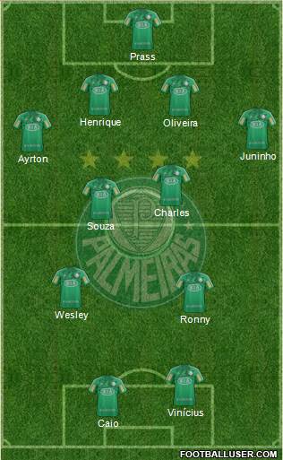 SE Palmeiras Formation 2013