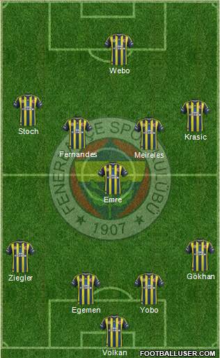 Fenerbahçe SK Formation 2013