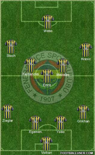 Fenerbahçe SK Formation 2013