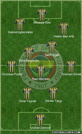 Fenerbahçe SK Formation 2013