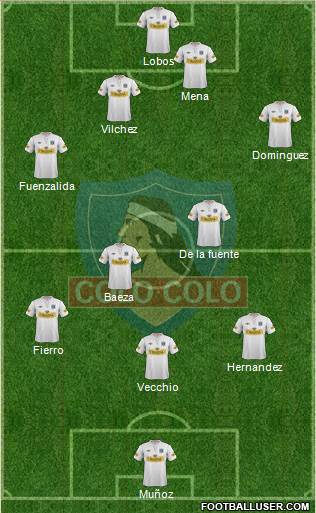 CSD Colo Colo Formation 2013