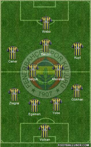 Fenerbahçe SK Formation 2013