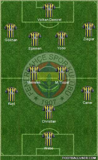 Fenerbahçe SK Formation 2013