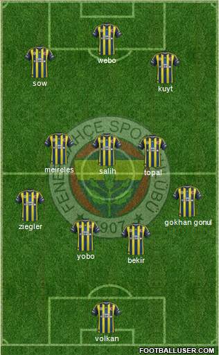 Fenerbahçe SK Formation 2013