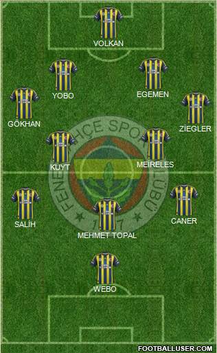 Fenerbahçe SK Formation 2013
